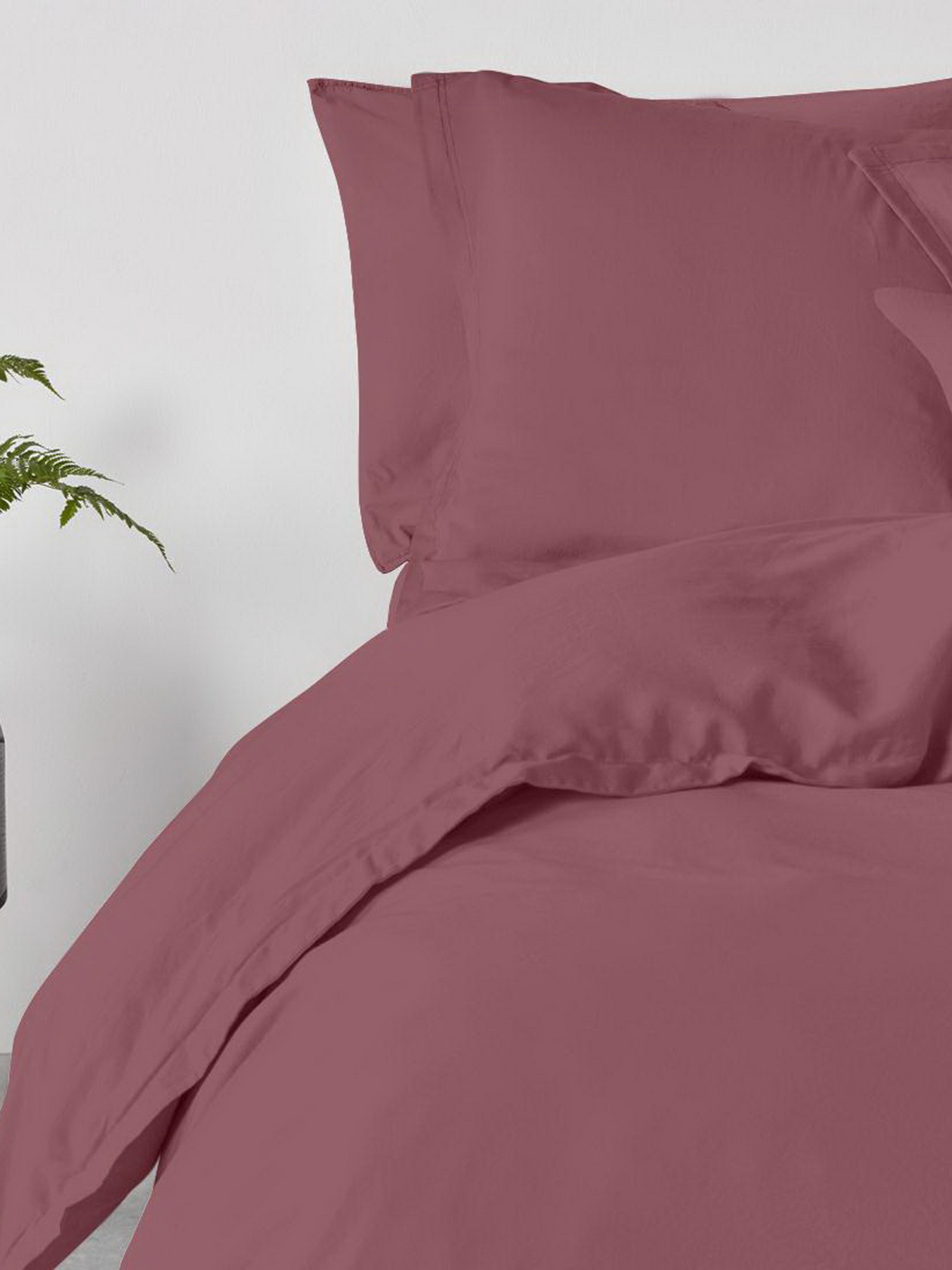 Набор наволочек на подушку BLUEBERRY CS1 Cosas модель SetPillow_RanforsCherry_50x70 Фото