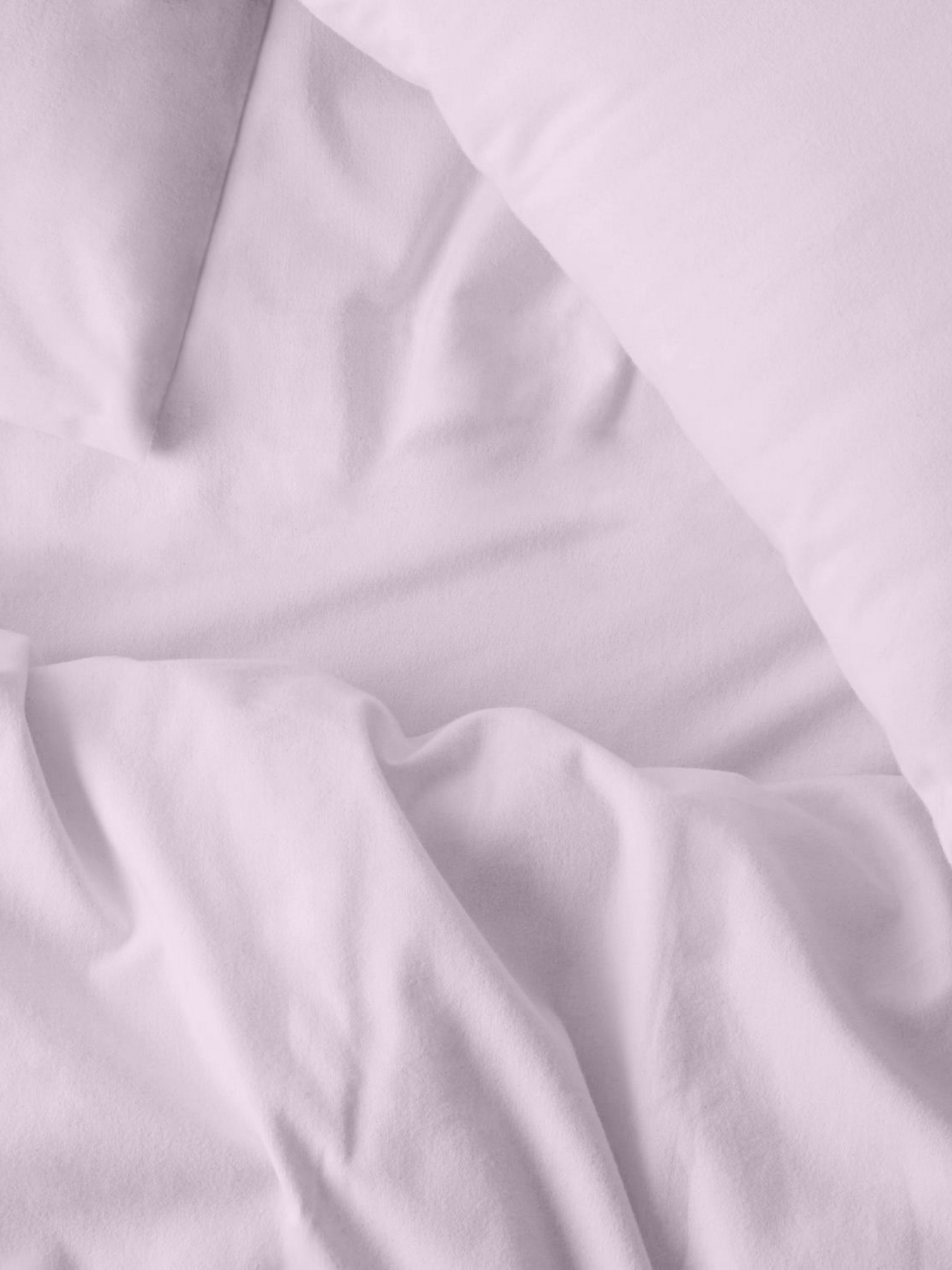 Набор наволочек фланель на подушку CAMELLIA Cosas модель SetPillow_Flannel_35Camellia_40x60 Фото