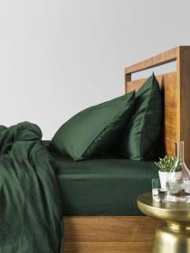 Набор наволочек сатин на подушку GREEN Cosas модель SetPillow_Satin_54Green_40x60 Набор наволочек сатин на подушку GREEN Cosas модель SetPillow_Satin_54Green_40x60 Фото