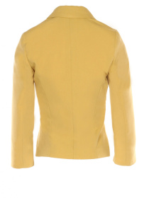 Жакет LadyLike модель ll167233302-girchichnij Фото