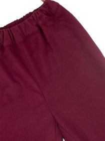 Джоггеры LadyLike модель ll189270068-bordovyj Фото