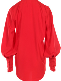 Блуза LadyLike модель ll184010010-chervonij Фото