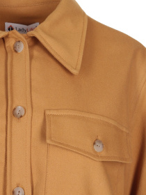 Сорочка повсякденна LadyLike модель ll191980034-zhovtij Фото