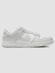 Кроссовки повседневные NIKE W Dunk Low модель DD1503-103 Фото