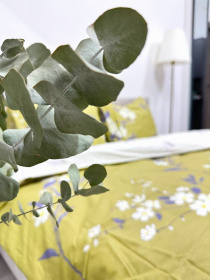 Комплект постельного белья Евро горчичный Ecotton модель 23342 Фото