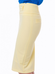 Спідниця міді LadyLike модель ll109020031-zhovtij Фото