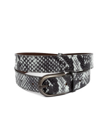 Ремень Famo модель REM-575_01 Фото