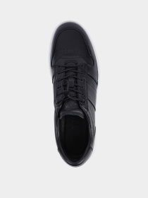 Кеды низкие MIRATON модель Q183A-3B Фото