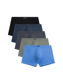 Набор трусов Atlantic модель 5SMH-002_NIEJ_GRF_CZA_KHAJ_IND Фото