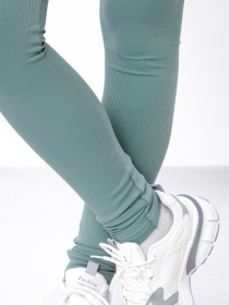 Леггинсы Носи своє модель 6000-133-temnij-polin Фото