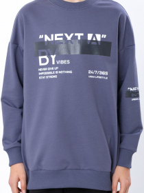 Свитшот Носи своє модель 6393-057-33-6-marengo Фото