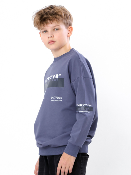 Свитшот Носи своє модель 6393-057-33-6-marengo Фото