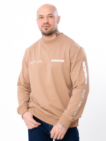 Свитшот Носи своє модель 8167-057-33-kava Фото