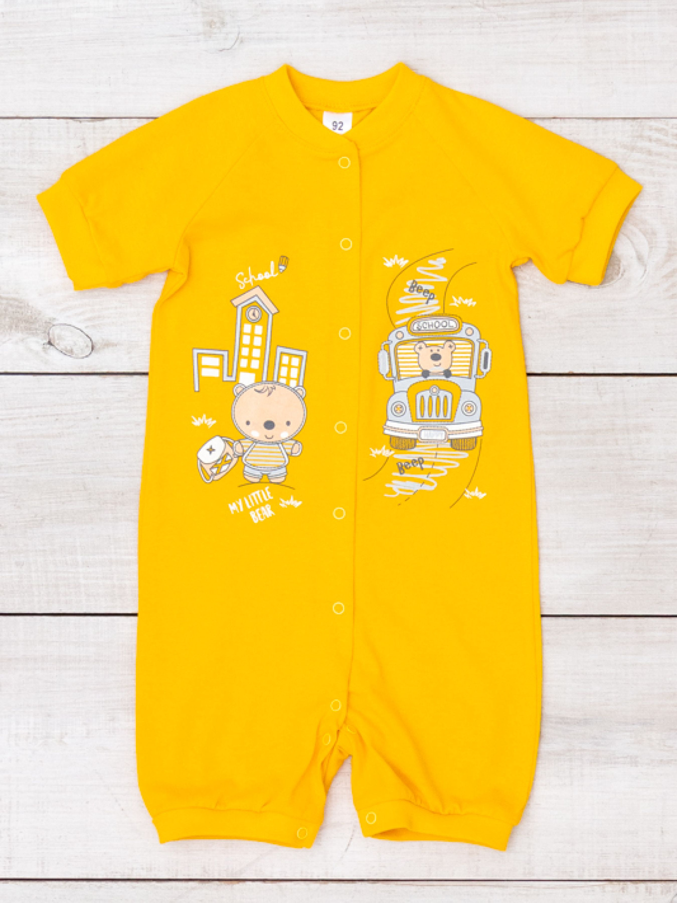 Пісочник Носи своє модель 5069-001-33-4-burshtin Фото