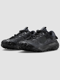 Кроссовки NIKE Acg Mountain Fly 2 Low модель DV7903-002 Фото