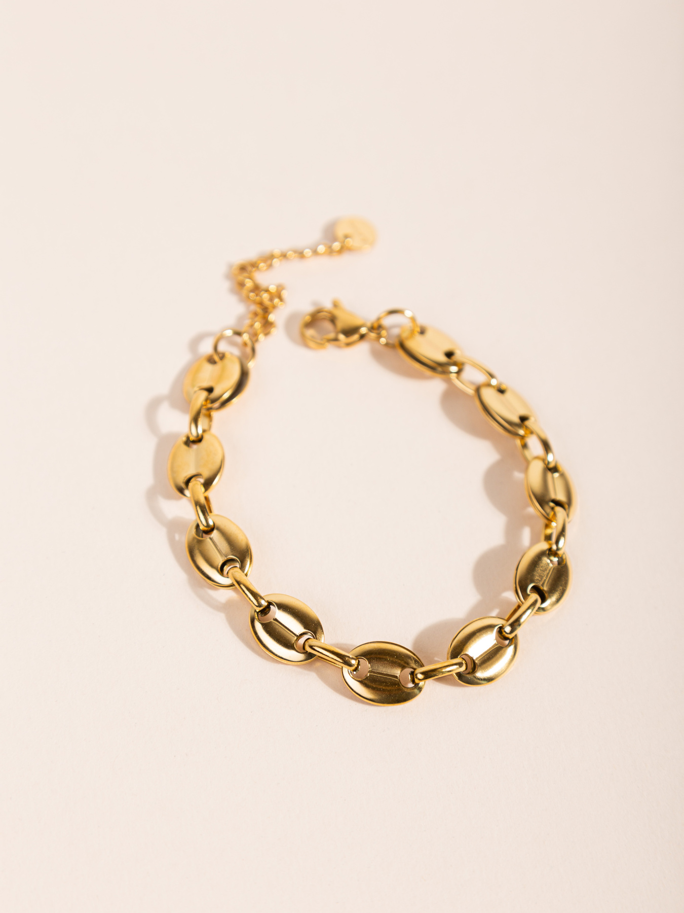 Самостоятельные Famo модель BRS-DM-207_01 Фото