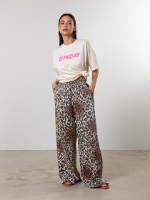 Брюки Famo модель BR-241017_01 Фото