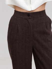 Брюки повседневные Famo модель BR-R471_01 Брюки повседневные Famo модель BR-R471_01 Фото