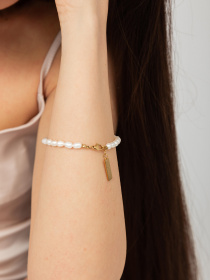 Самостоятельные Famo модель BRS-105_01 Фото