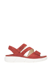 Сандалии GANTER модель 9-20 0472 8100 Фото