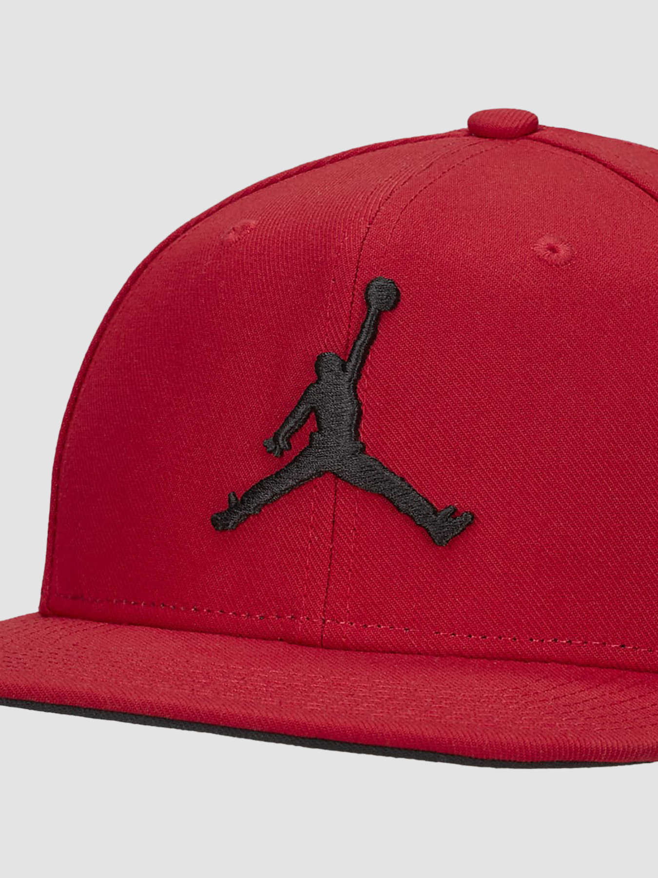 Кепка Jordan Pro модель FD5184-687 Фото