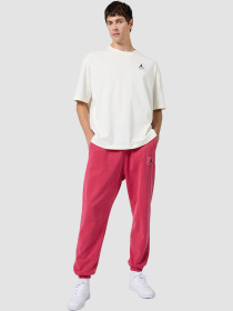 Джогери NIKE M J Ess Stmt Wash Flc модель FB7298-619 Фото