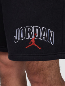 Повседневные шорты Jordan Brooklyn Fleece модель IB7910-010 Фото