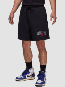 Повседневные шорты Jordan Brooklyn Fleece модель IB7910-010 Фото