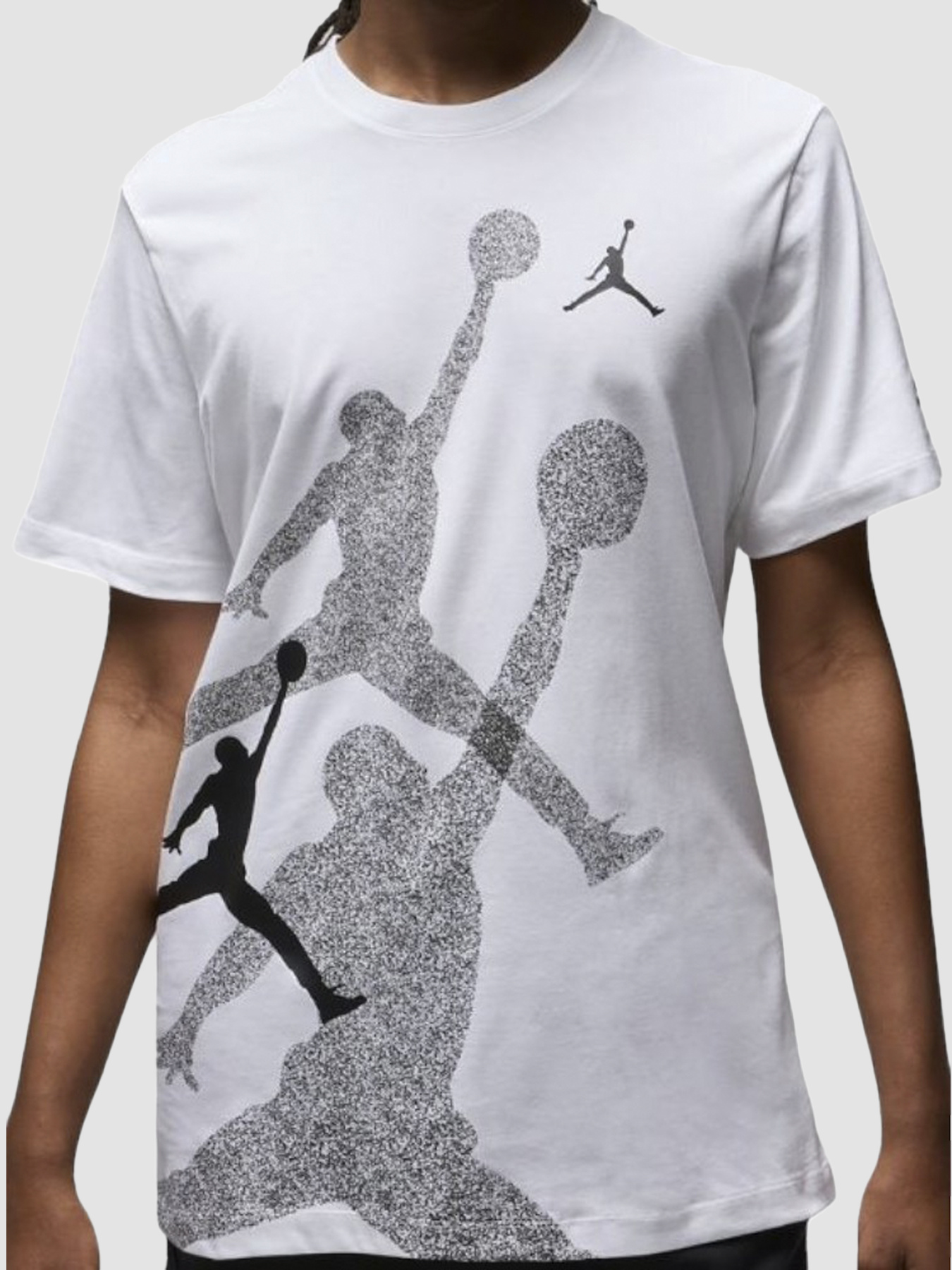 Футболка Jordan Brand Ss Hbr Crew модель FN6025-100 Фото
