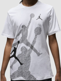 Футболка Jordan Brand Ss Hbr Crew модель FN6025-100 Фото