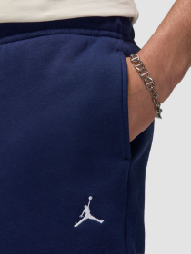 Джогери Jordan Brooklyn Fleece модель FV7277-410 Фото