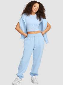 Джогери NIKE W Nsw Phnx Flc Hr Os модель DQ5887-441 Фото