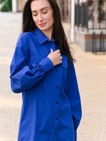 Сорочка повсякденна LadyLike модель ll182310067-elektrik Фото