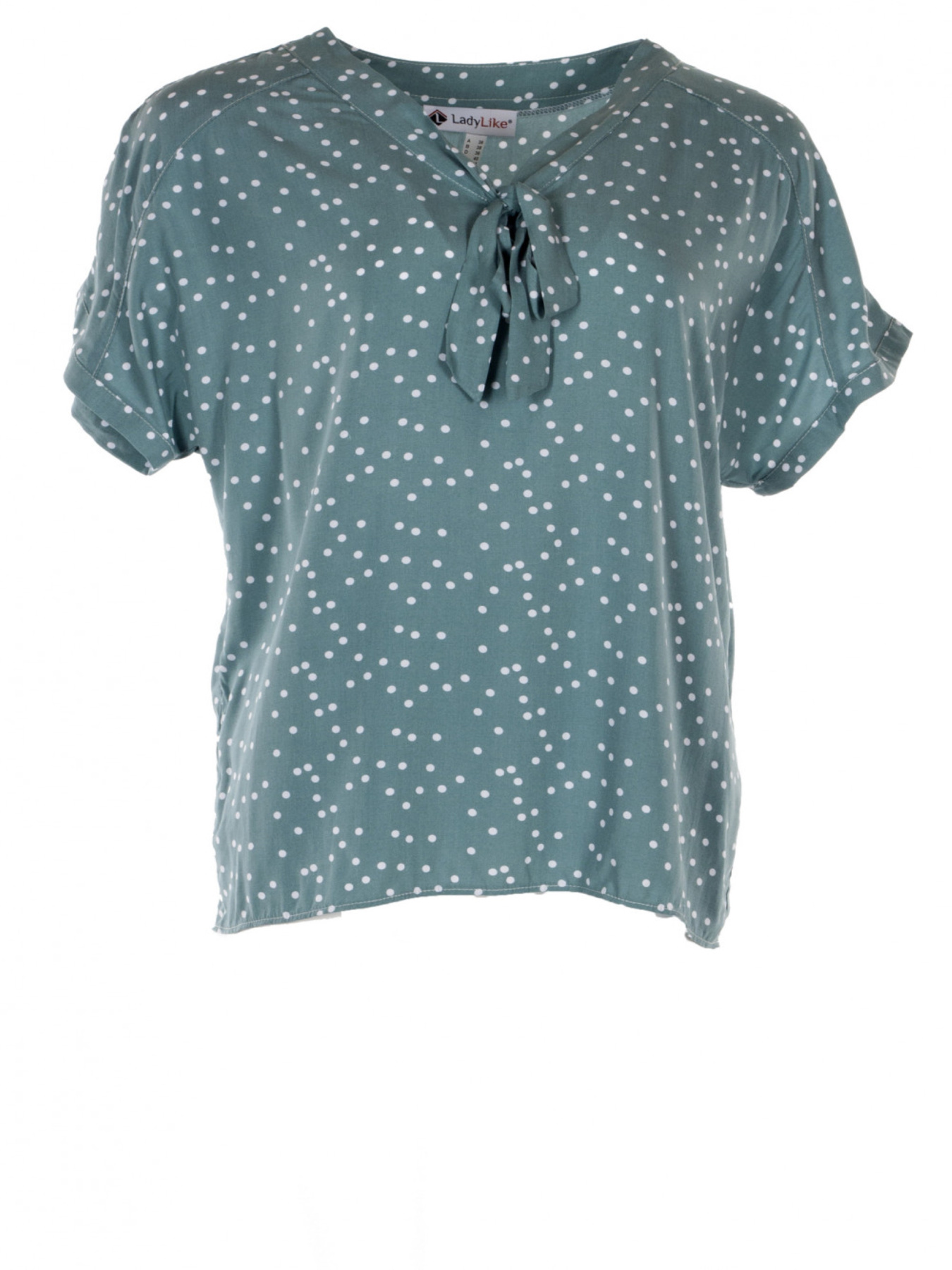 Блуза LadyLike модель ll191713347-mqtnij Фото