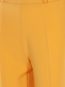 Штани повсякденні LadyLike модель ll92020056-zhovtij Фото