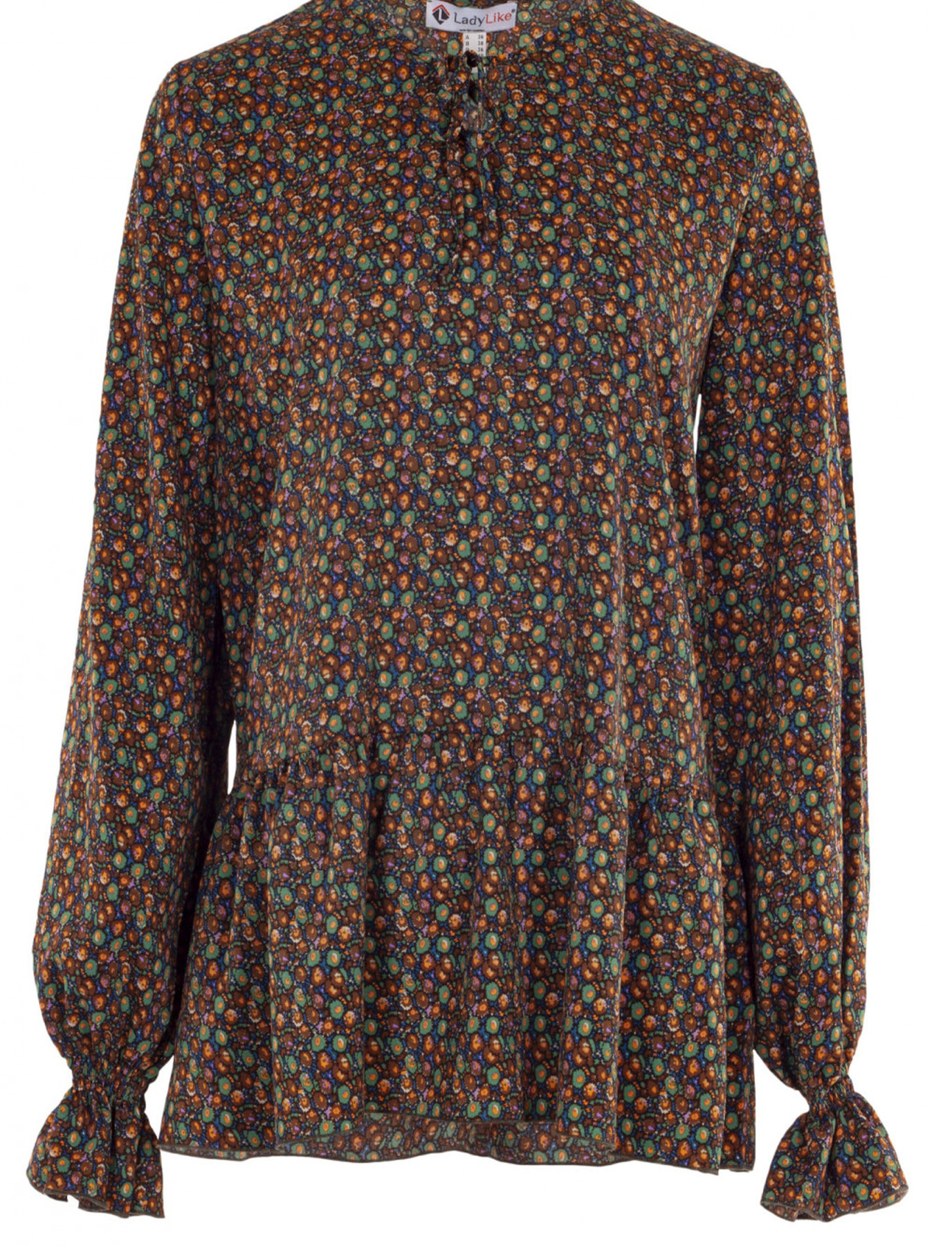 Блуза LadyLike модель ll205635784-rznokolxorovij Фото