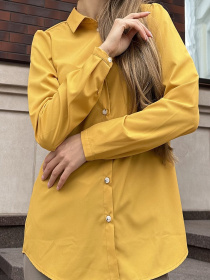 Рубашка LadyLike модель ll29710088-zhovtij Фото