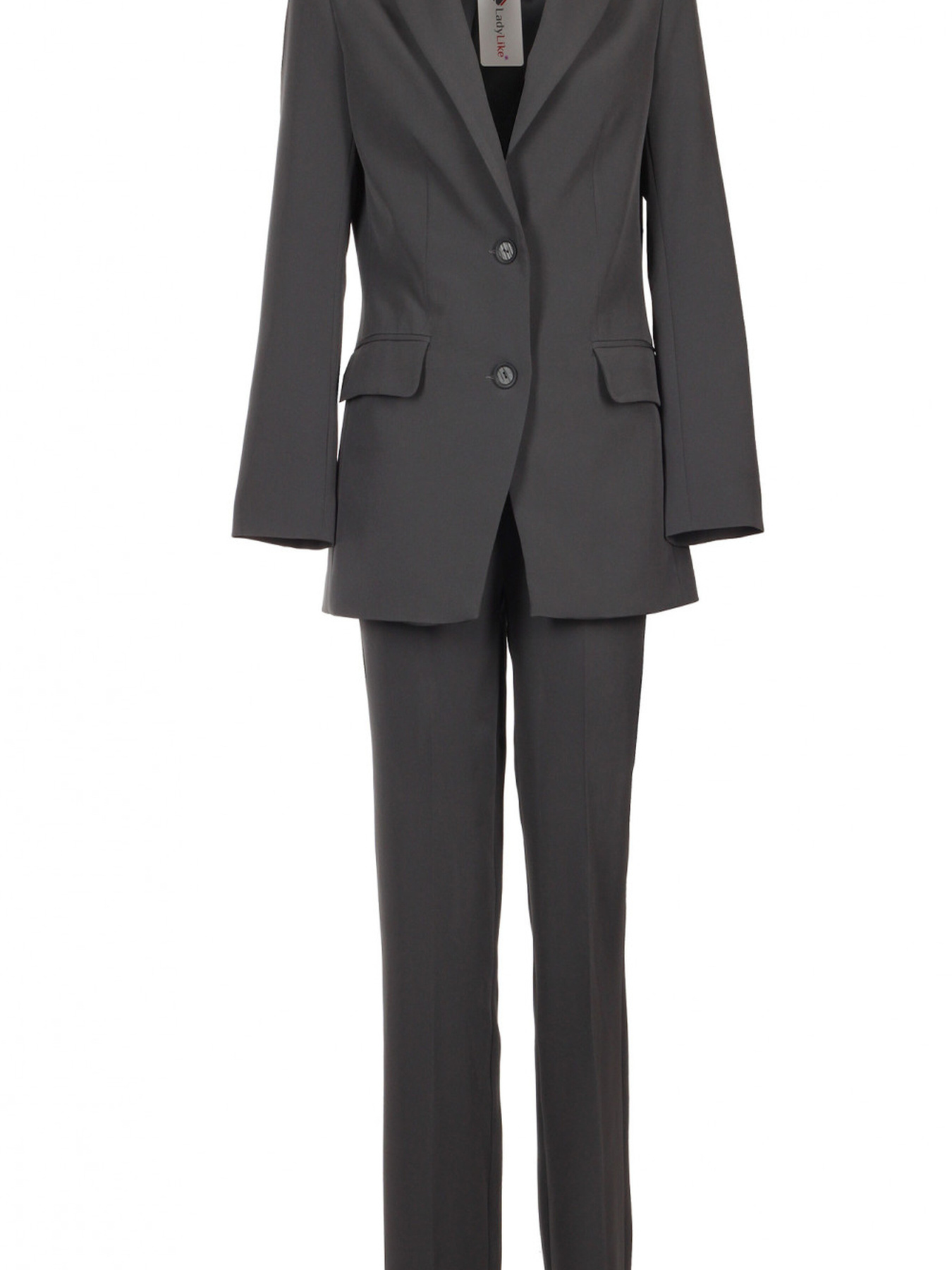 Штани повсякденні LadyLike модель ll226120091-srij Фото