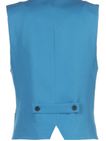 Жилет классический LadyLike модель ll88120069-bryuzovij Фото