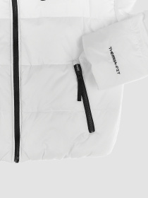 Демисезонная куртка NIKE Sportswear Therma-Fit Repel модель DX1797-121 Фото