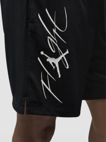 Шорты Jordan ШорEss Ssn модель FN4647-010 Фото