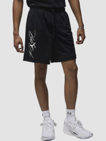 Шорты Jordan ШорEss Ssn модель FN4647-010 Фото
