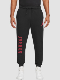 Штани Jordan M Ess Mmbr Hldy Flc модель FD7467-010 Фото