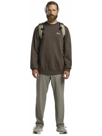 Світшот Jack Wolfskin Essential crewneck m модель A63843_5719 Фото