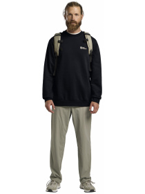 Світшот Jack Wolfskin Essential crewneck m модель A63843_C0413 Фото