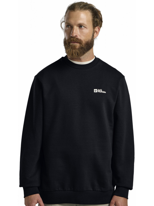 Свитшот Jack Wolfskin Essential crewneck m модель A63843_C0413 Фото