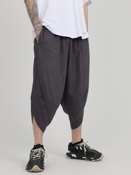 Повсякденні шорти IJ модель ij-coi-grafit-man Фото