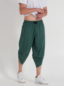 Шорти IJ модель ij-coi-emerald-man Фото