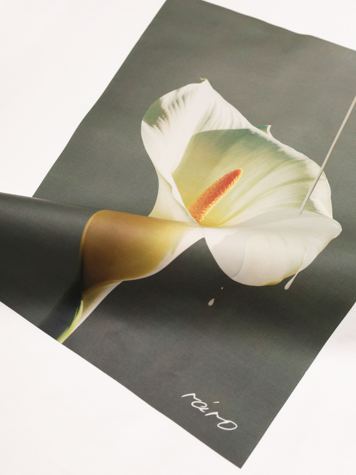 Футболка IrAro модель IR_SS25_MT_002 Фото