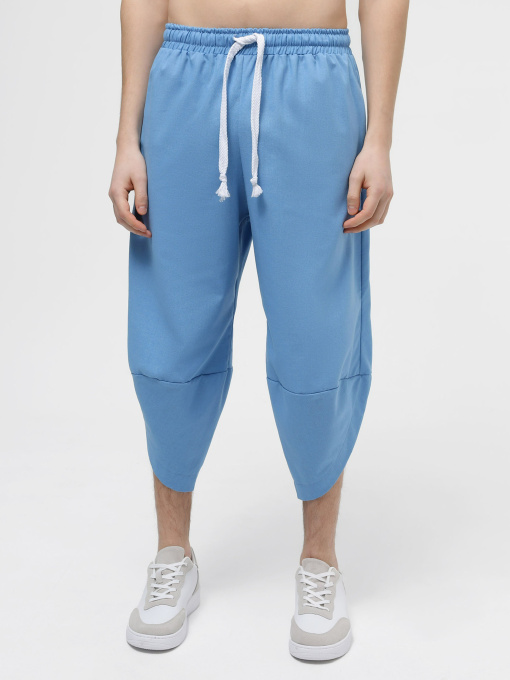 Повсякденні шорти IJ модель ij-coi-blue-man Фото